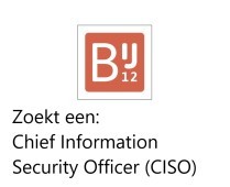 Chief Information Security Officer (CISO)